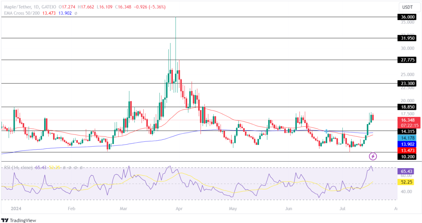 Maple Price Analysis