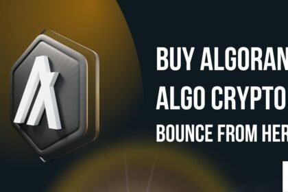 Algorand Algo Crypto Buying Opportunity Wait For This Level.jpg