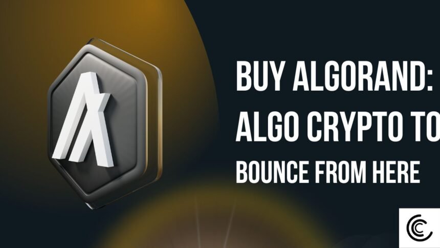 Algorand Algo Crypto Buying Opportunity Wait For This Level.jpg