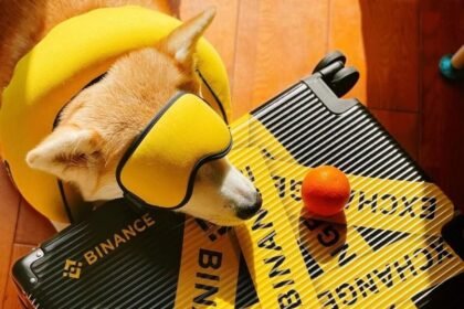 Binance Shiba Inu