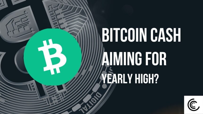 Bitcoin Cash Sets Sights On Yearly High New Target Unveiled.jpg