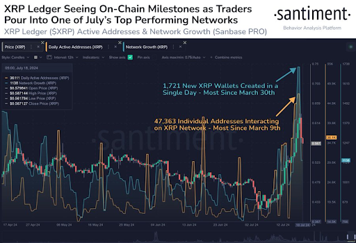 XRP 3