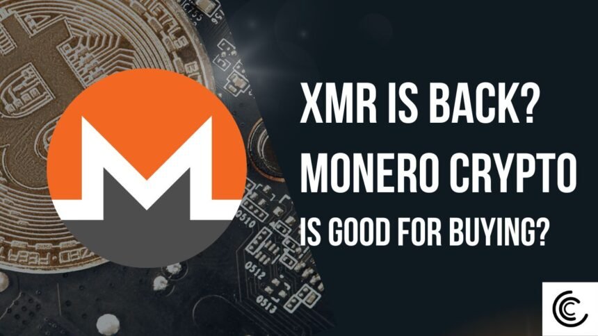 Can Xmr Deliver Monero Price Prediction Coinaero.jpg