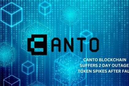 Canto Blockchain Outage Token Spikes Coinaero.jpg