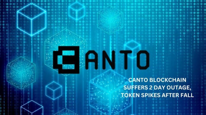 Canto Blockchain Outage Token Spikes Coinaero.jpg