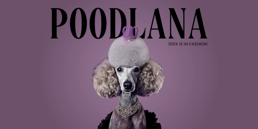 Final Week Poodlanas 51m Presale Countdown Coinaero.png