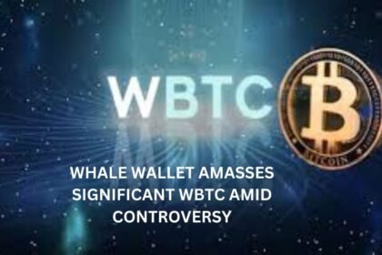 Whale Wallets Wbtc Hoard Sparks Debate Coinaero.jpg