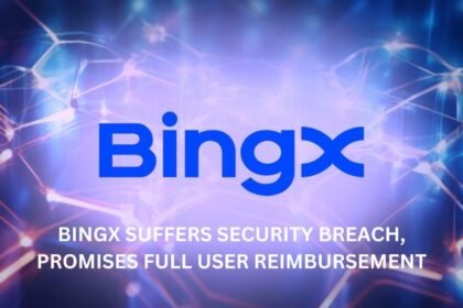 Bingx Security Breach Full User Reimbursement Promised Coinaero.jpg