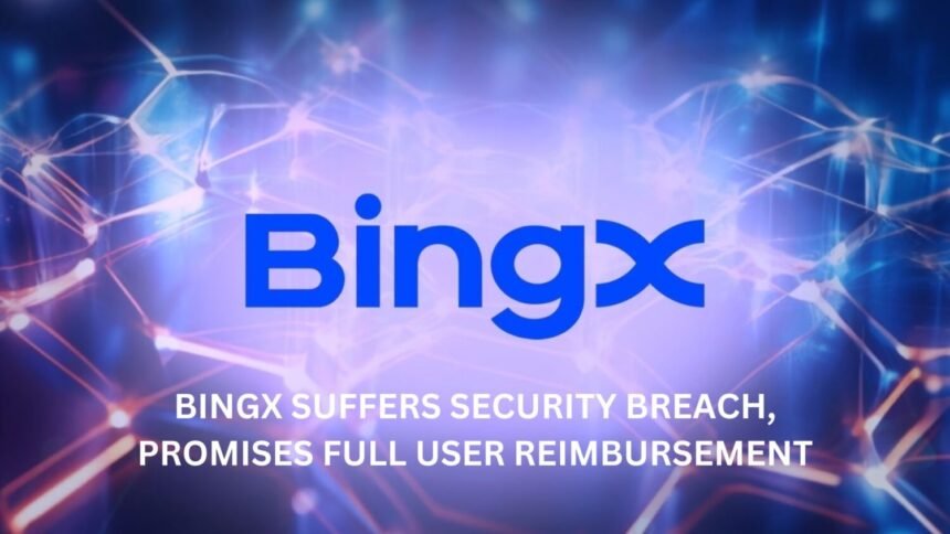 Bingx Security Breach Full User Reimbursement Promised Coinaero.jpg