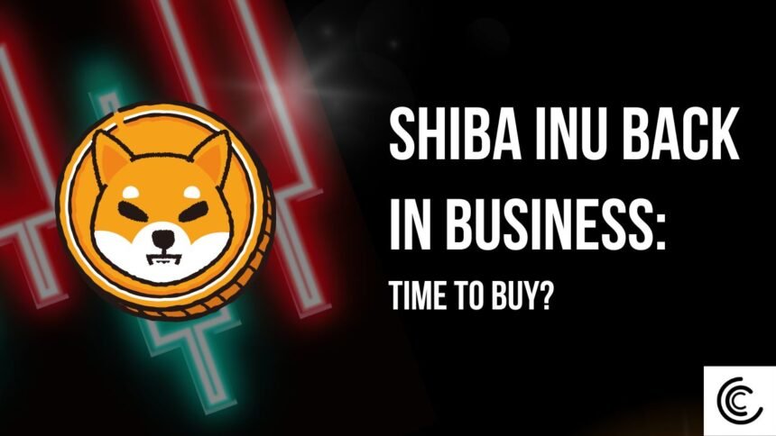 Buy Shiba Inu Now Bullish Pattern Forming Coinaero.jpg