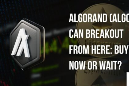 Is Algorand Algo Ready To Break Out Buy Now Or.jpg