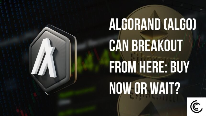 Is Algorand Algo Ready To Break Out Buy Now Or.jpg