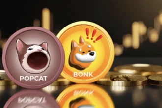 popcat-bonk