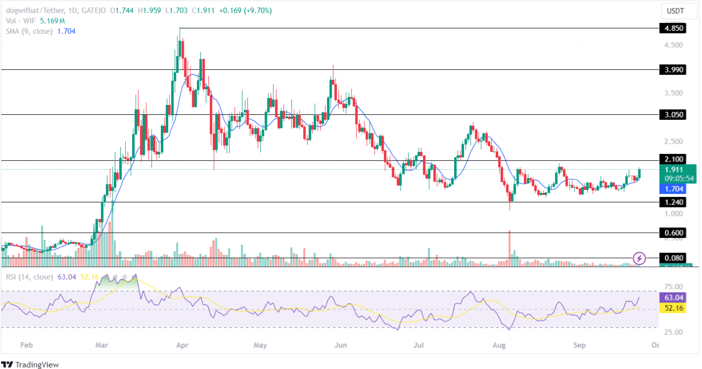 WIF price analysis 24th sept 2024