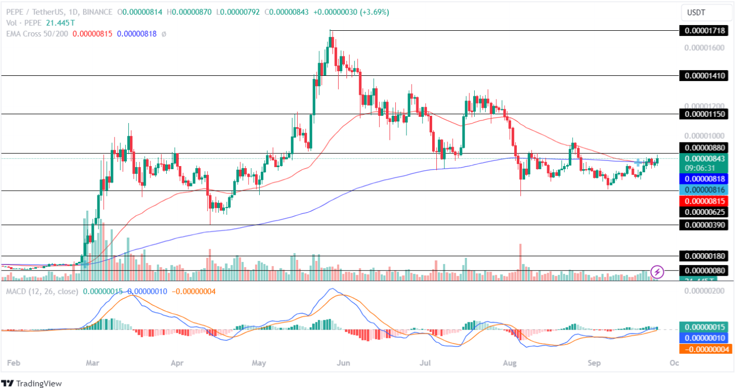 pepe price analysis 24th sept 2024