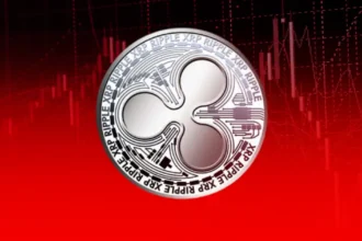 Is Sec Appeal Hurting Bitwises Xrp Etp Coinaero.webp