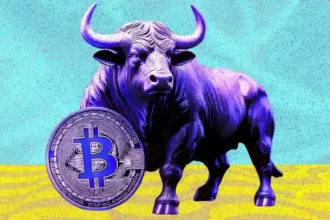 Is Bitcoin's Surge a Bull Trap or the Start of a New Rally? What Next For Crypto Market