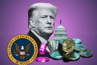 Crypto Lawsuits May End by 2025 with New SEC Chair and Trump’s Crypto Guidelines