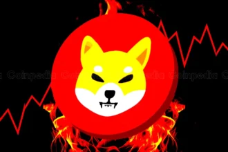 Shiba Inu Burn Rate Soars 6,200% Today, Over 290k Tokens Destroyed!