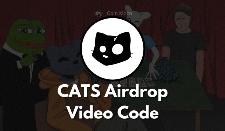 CATS video code