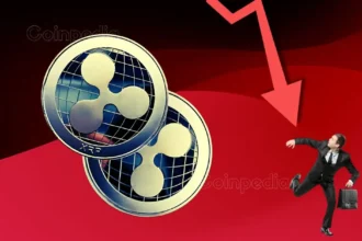 XRP Price Prediction For December 20