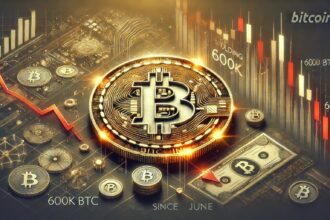 Bitcoin Wallets Holding 10-100 BTC Drop By 600K BTC Since June – Millionaires Cashing Out?