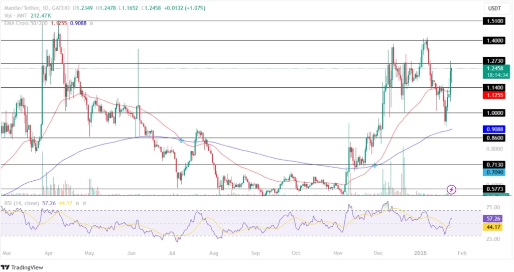 Mantle Price Analysis 24th January 2025