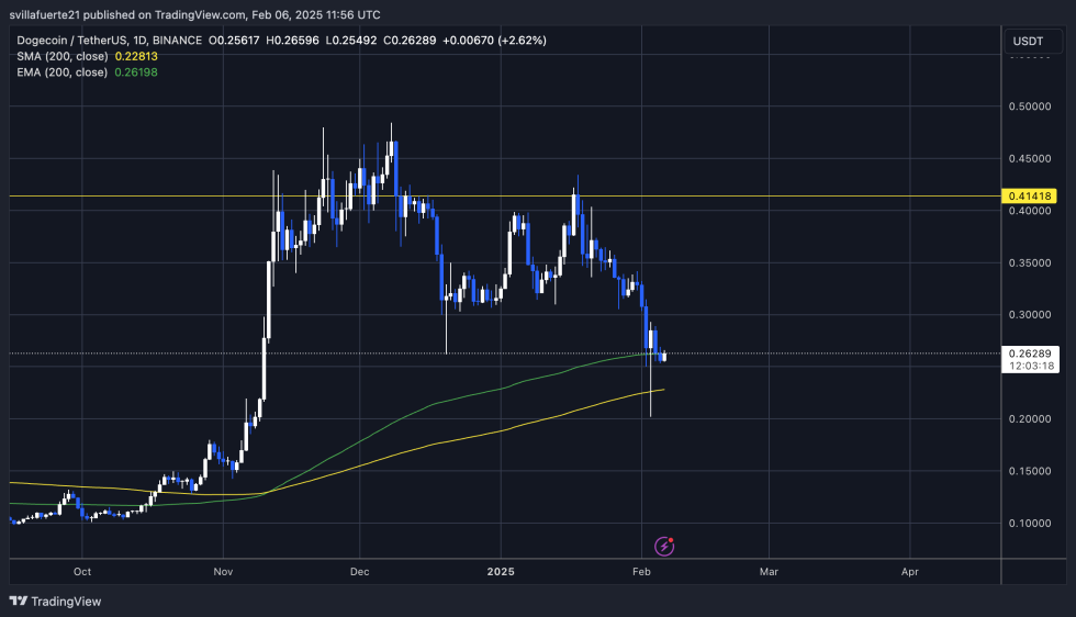 DOGE testing crucial demand around the 200-day EMA | Source: DOGEUSDT chart on TradingView