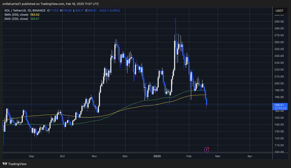 Solana setting fresh lows | Source: SOLUSDT chart on TradingView