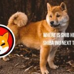 Where is Shib Heading? Shiba Inu Next Target