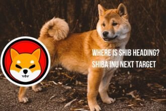 Where is Shib Heading? Shiba Inu Next Target