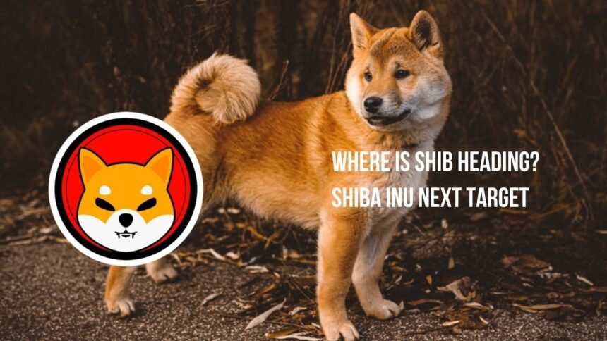 Where is Shib Heading? Shiba Inu Next Target