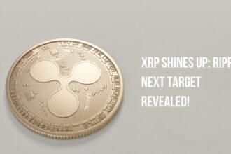 XRP Shines Up: Ripple Next Target Revealed!