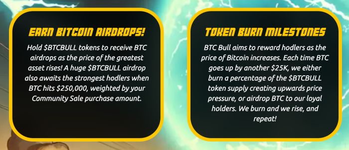 $BTCBULL airdrops & token burns